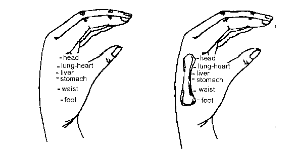 ab2.gif (4498 bytes)